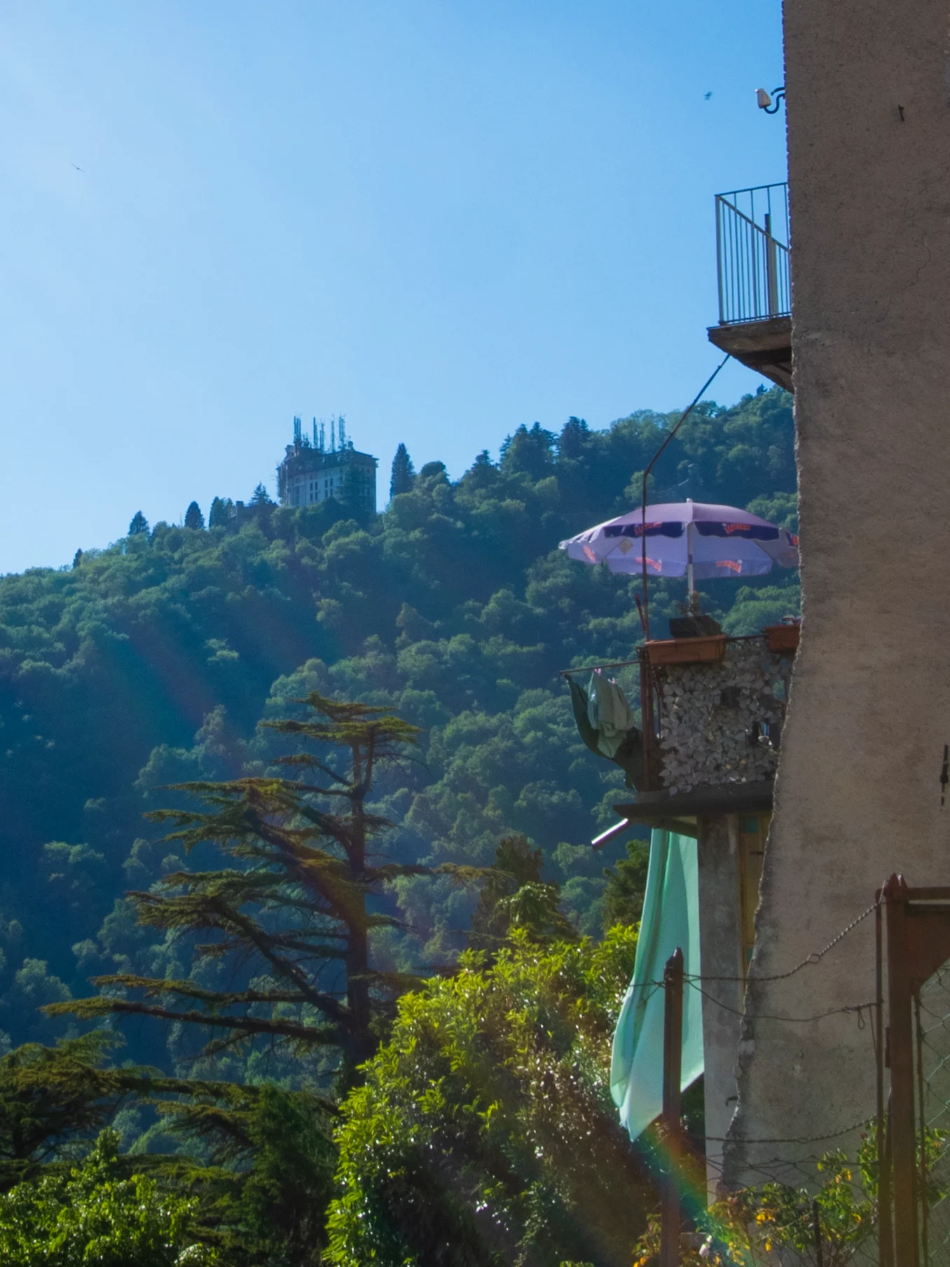 Panorama verdeggiante visibile dalla zona d'ingresso